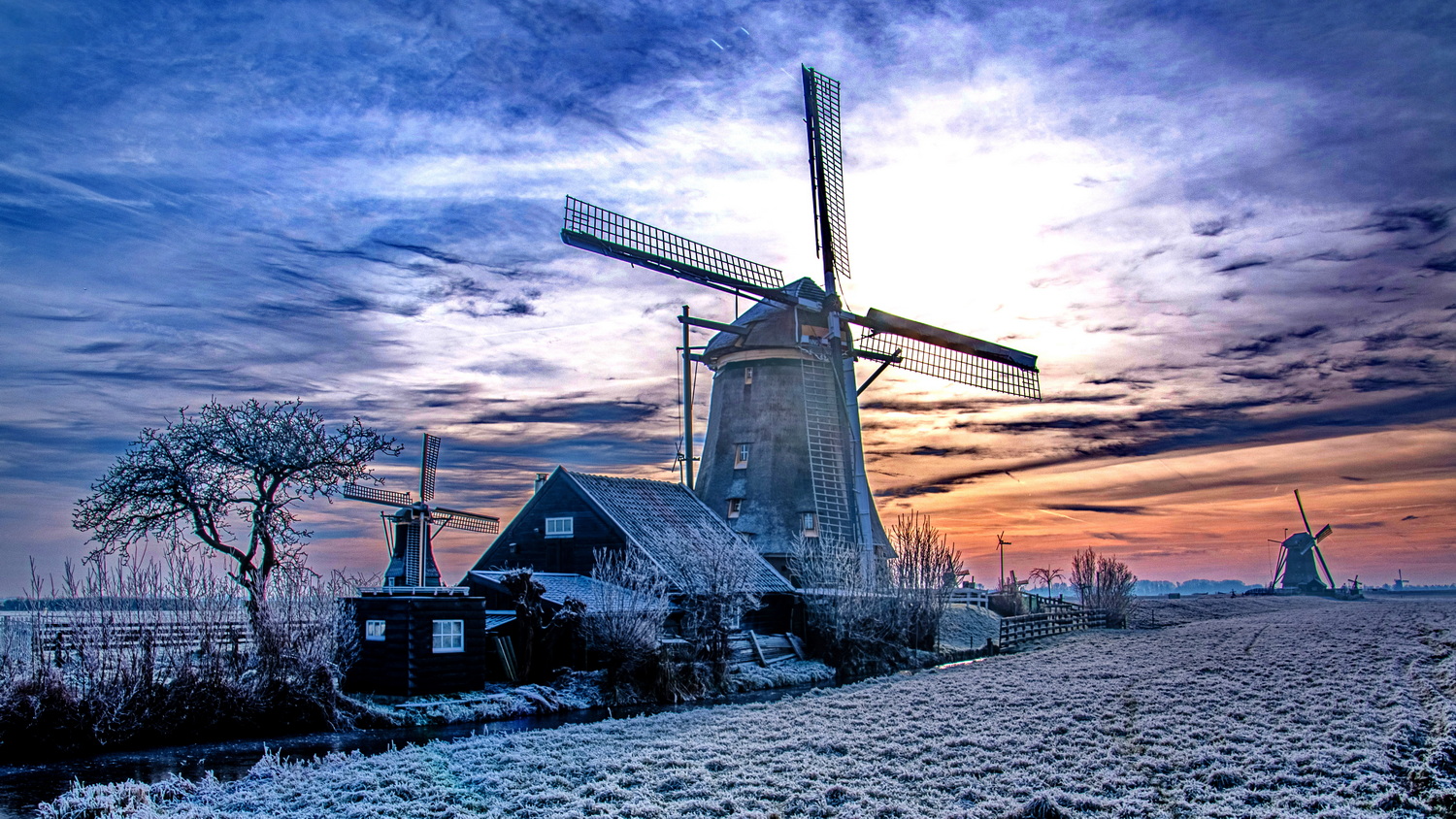 Windmills in winter