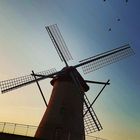 WINDMOLEN