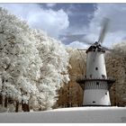 Windmolen <Infrarot>