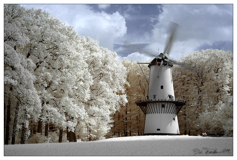 Windmolen <Infrarot>