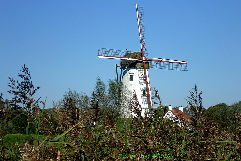 Windmolen/ Windmühle in Damme, Belgien - Eulenspiegelort