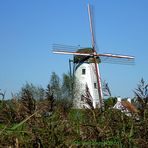 Windmolen/ Windmühle in Damme, Belgien - Eulenspiegelort