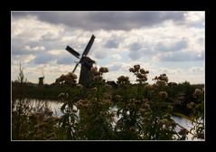 Windmühen von Kinderdijk