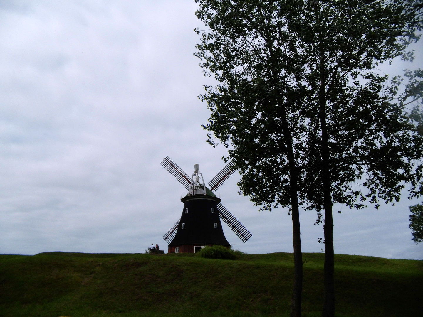 Windmühle 1a Zwischen Wismar und Warnemünde