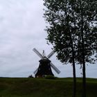 Windmühle 1a Zwischen Wismar und Warnemünde