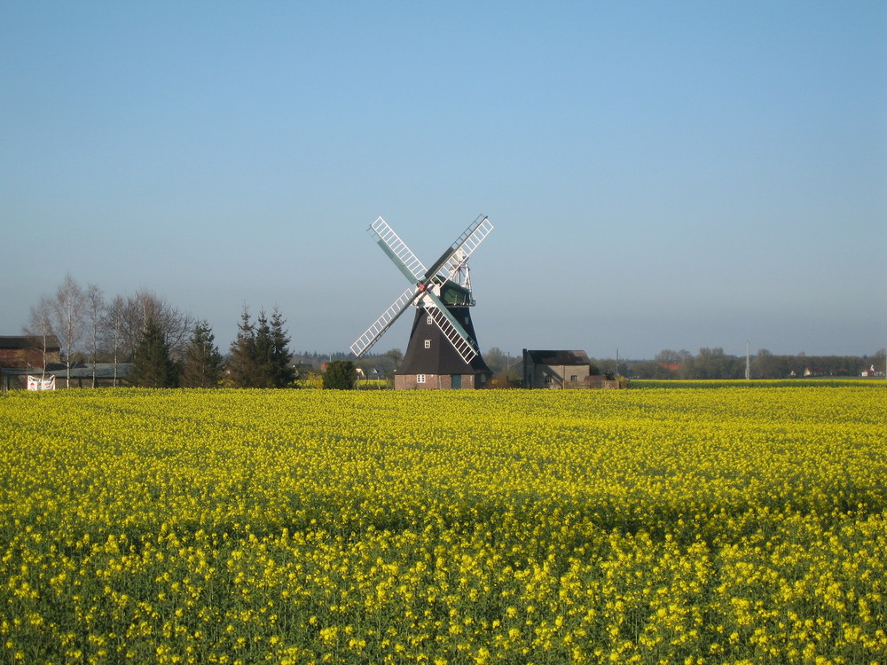 Windmühle