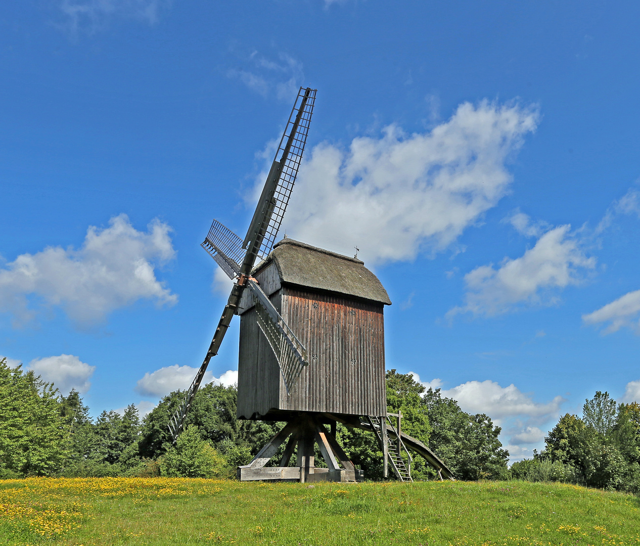 Windmühle -2-