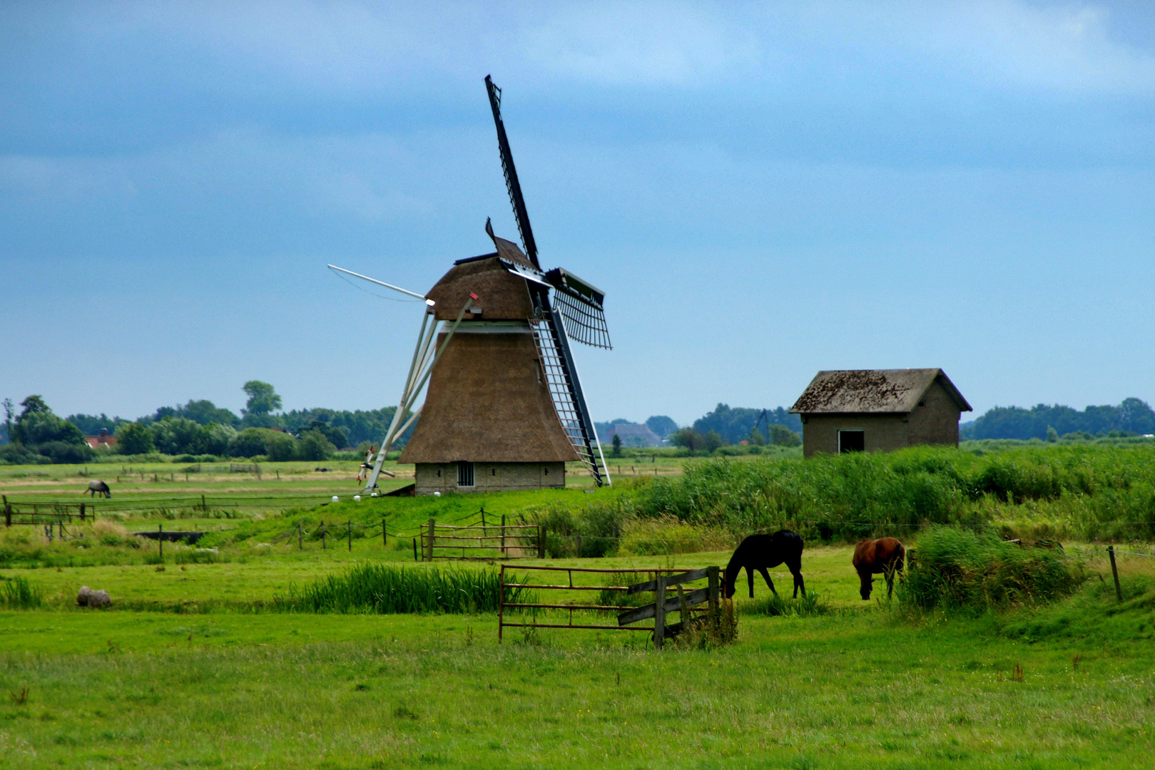 windmühle 2