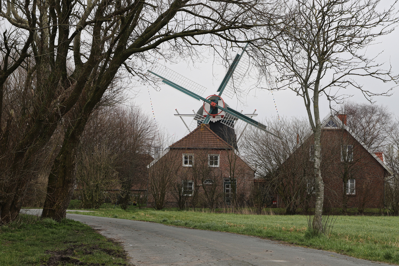 Windmühle (2019_03_21_EOS 6D Mark II_0819_ji)