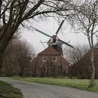 Windmühle (2019_03_21_EOS 6D Mark II_0819_ji)