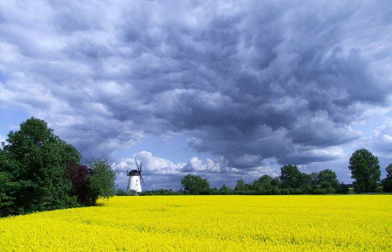 WindMühle