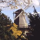 Windmühle