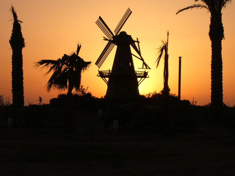 Windmühle