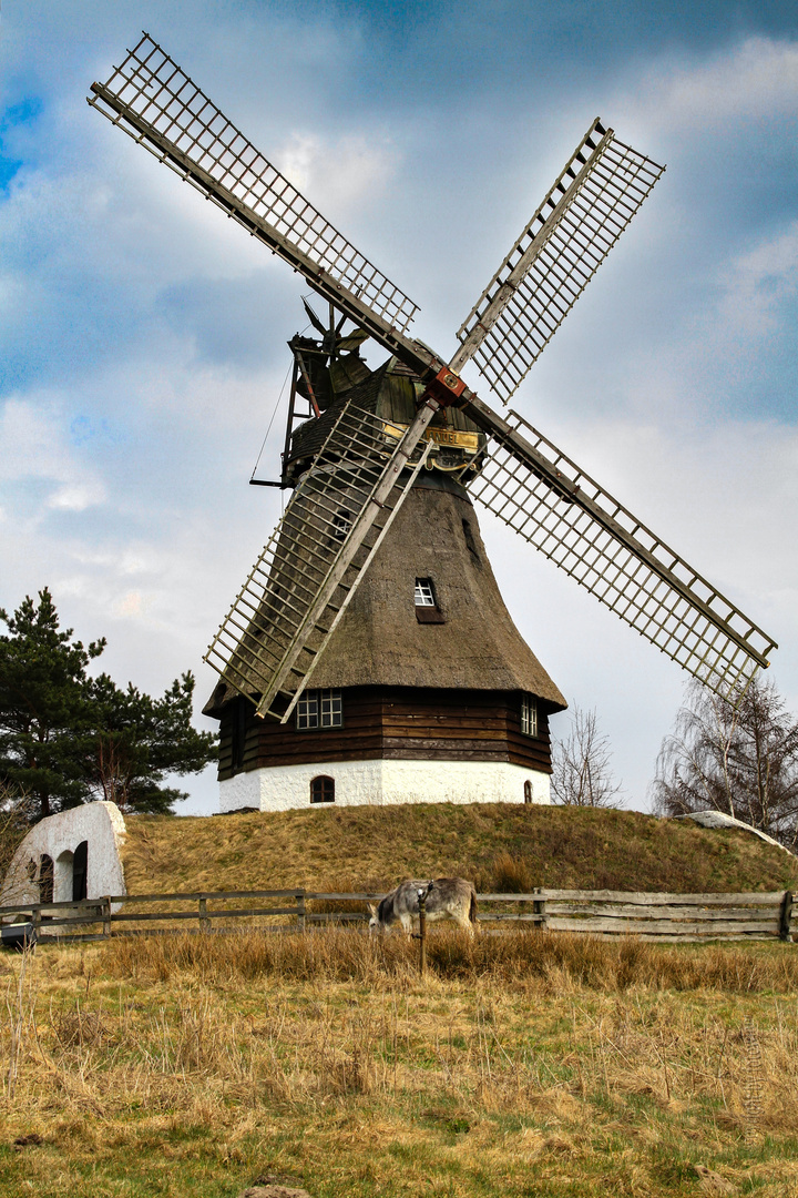 Windmühle