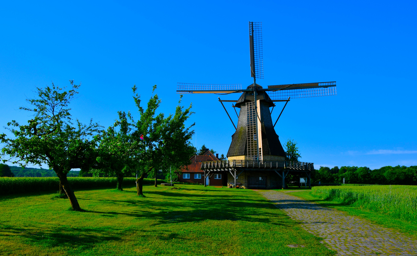 Windmühle....