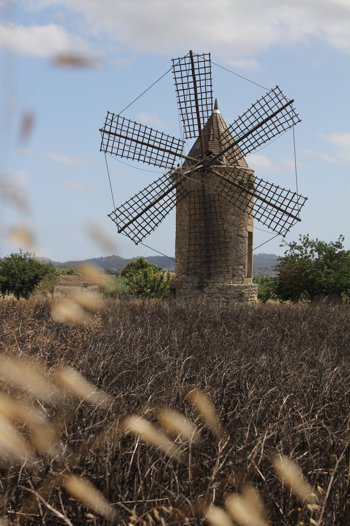 Windmühle