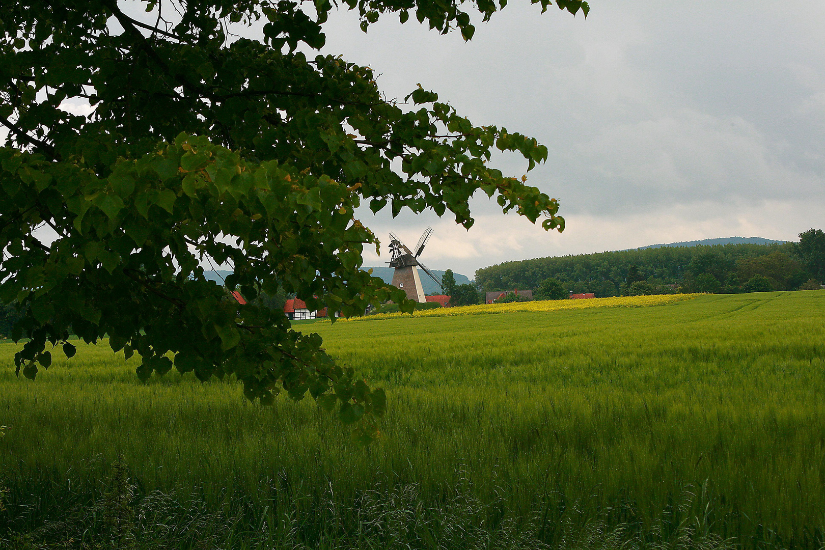 Windmühle