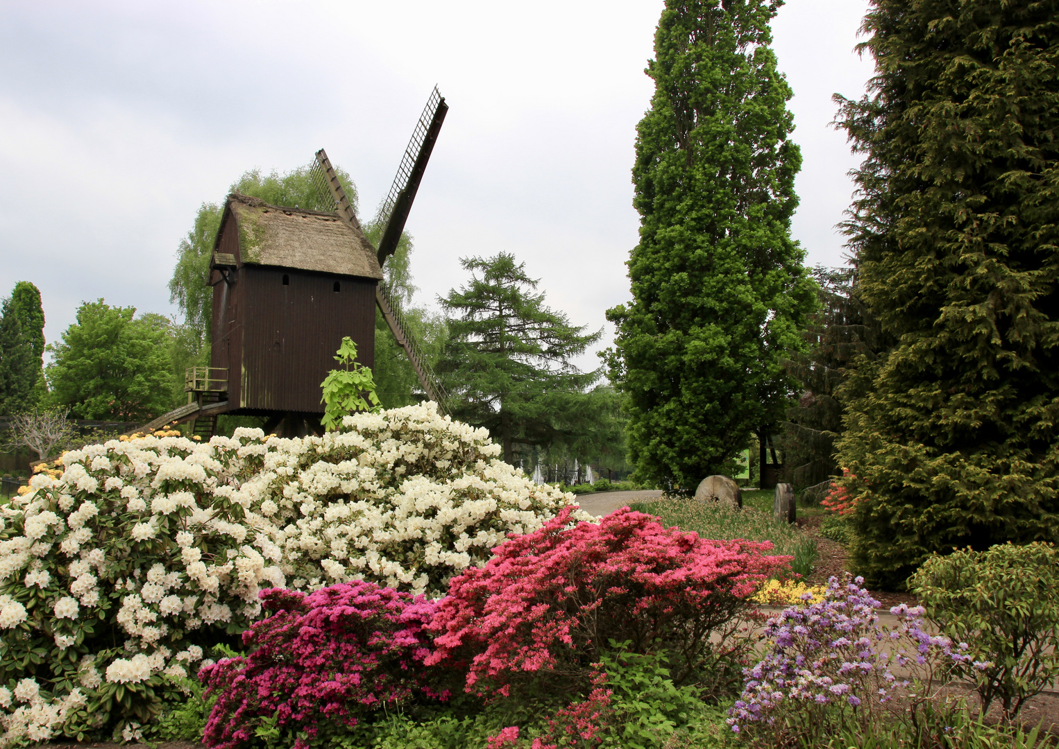 Windmühle