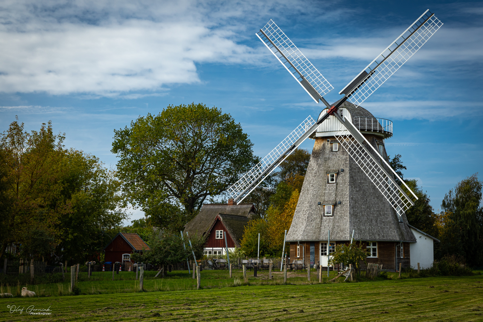 WIndmühle Ahrenshoop