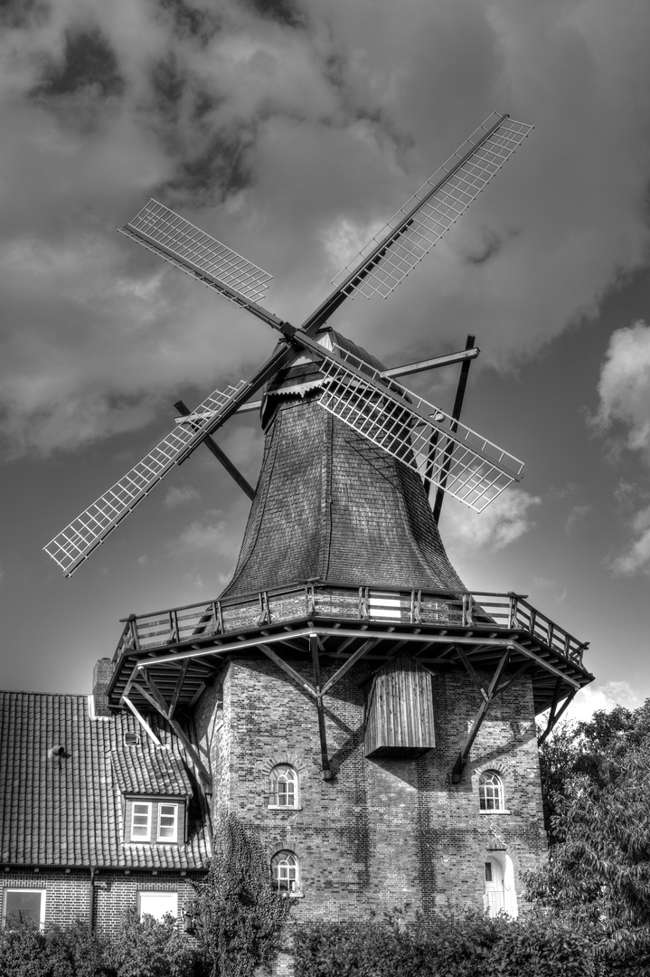 Windmühle am Elbdeich