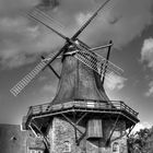 Windmühle am Elbdeich