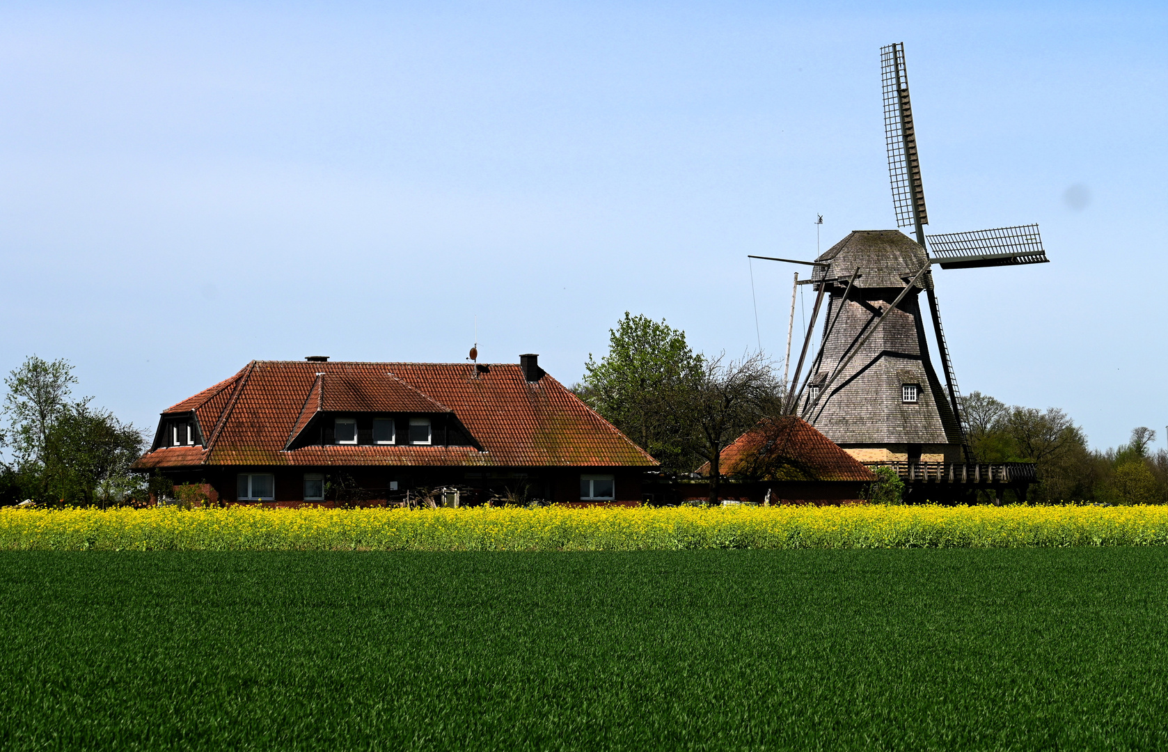 Windmühle am Feld...