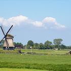 Windmühle am IJsselmeer