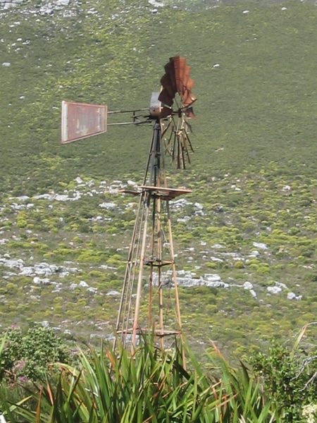 Windmühle am Kap