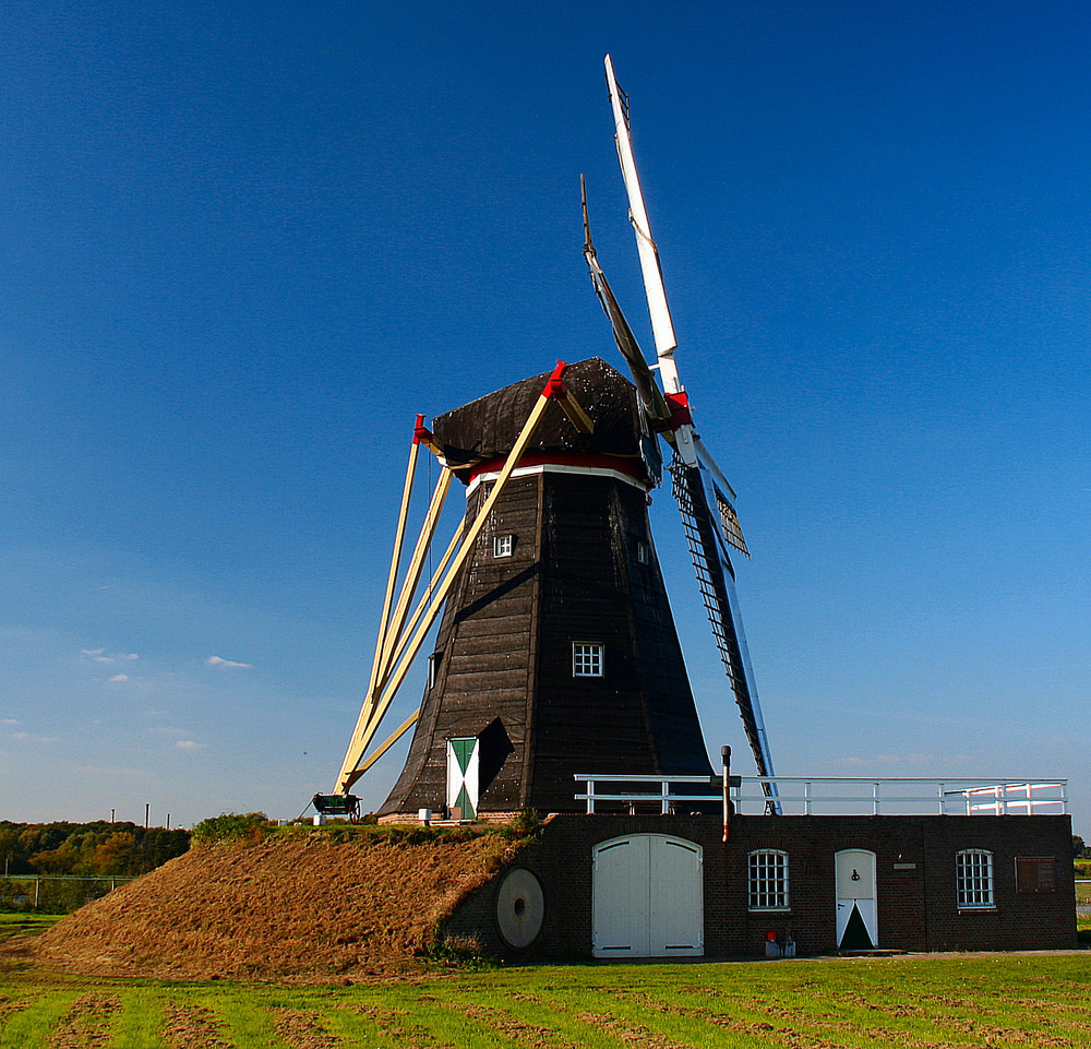 Windmühle an der Maas
