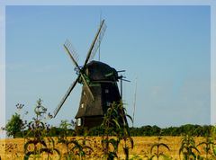 Windmühle an der Ostsee