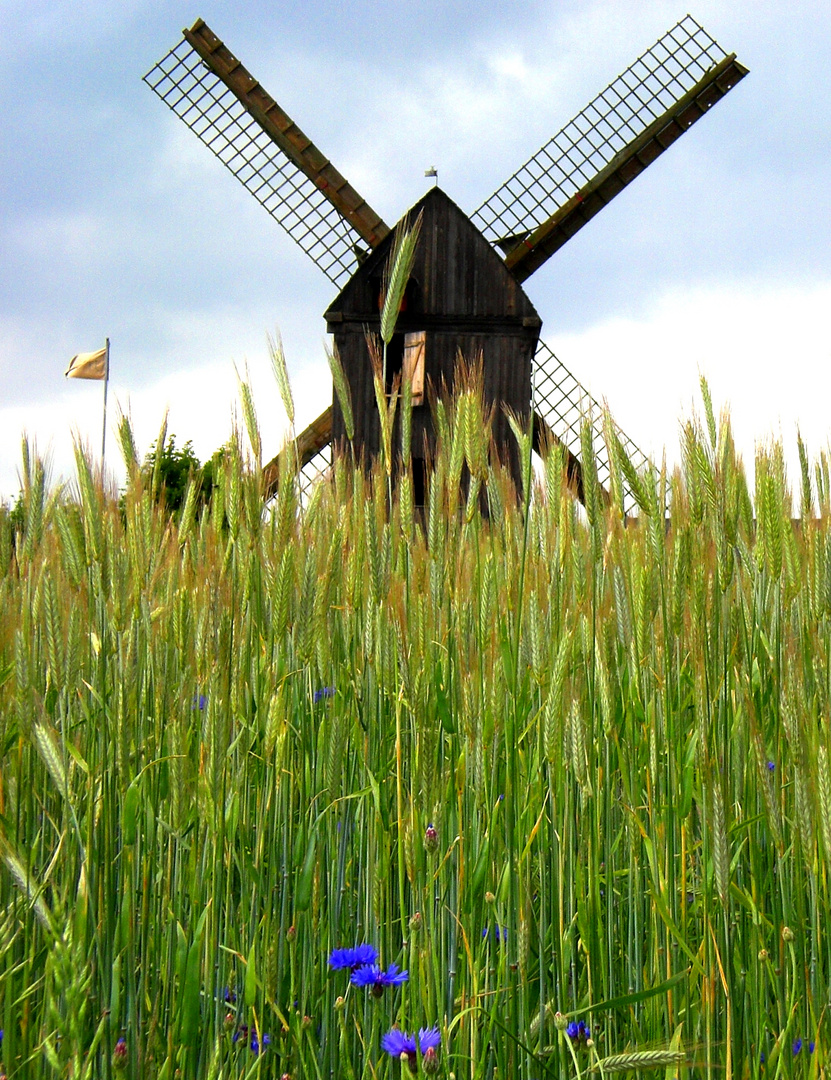 Windmühle an der Ostsee