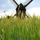 Windmühle an der Ostsee