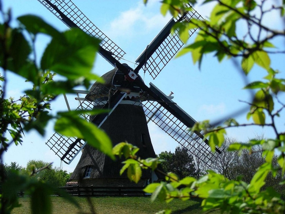 Windmühle auf Ameland