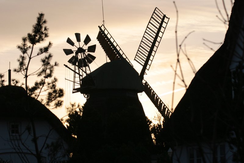 Windmühle auf Amrum