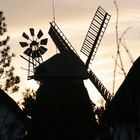 Windmühle auf Amrum