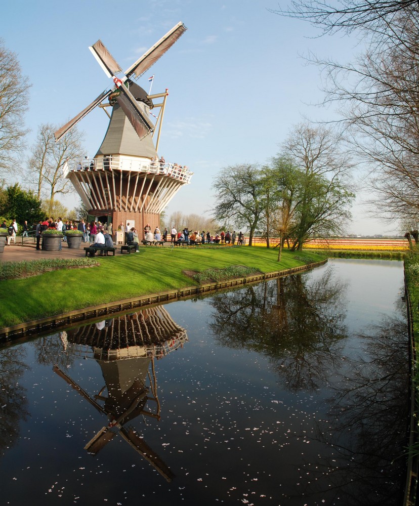 Windmühle auf dem Keukenhof nähe Amsterdam