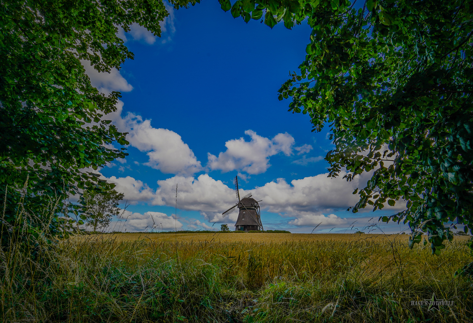 Windmühle auf dem Weg zur Ostsee