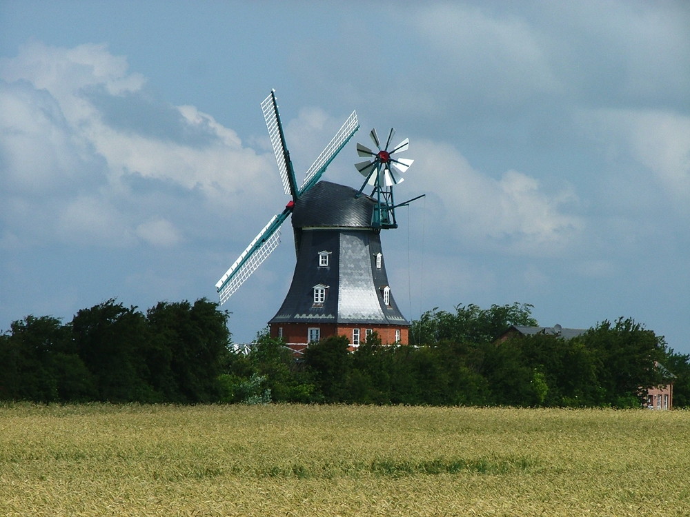Windmühle auf der Insel Föhr