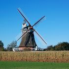 Windmühle auf Föhr