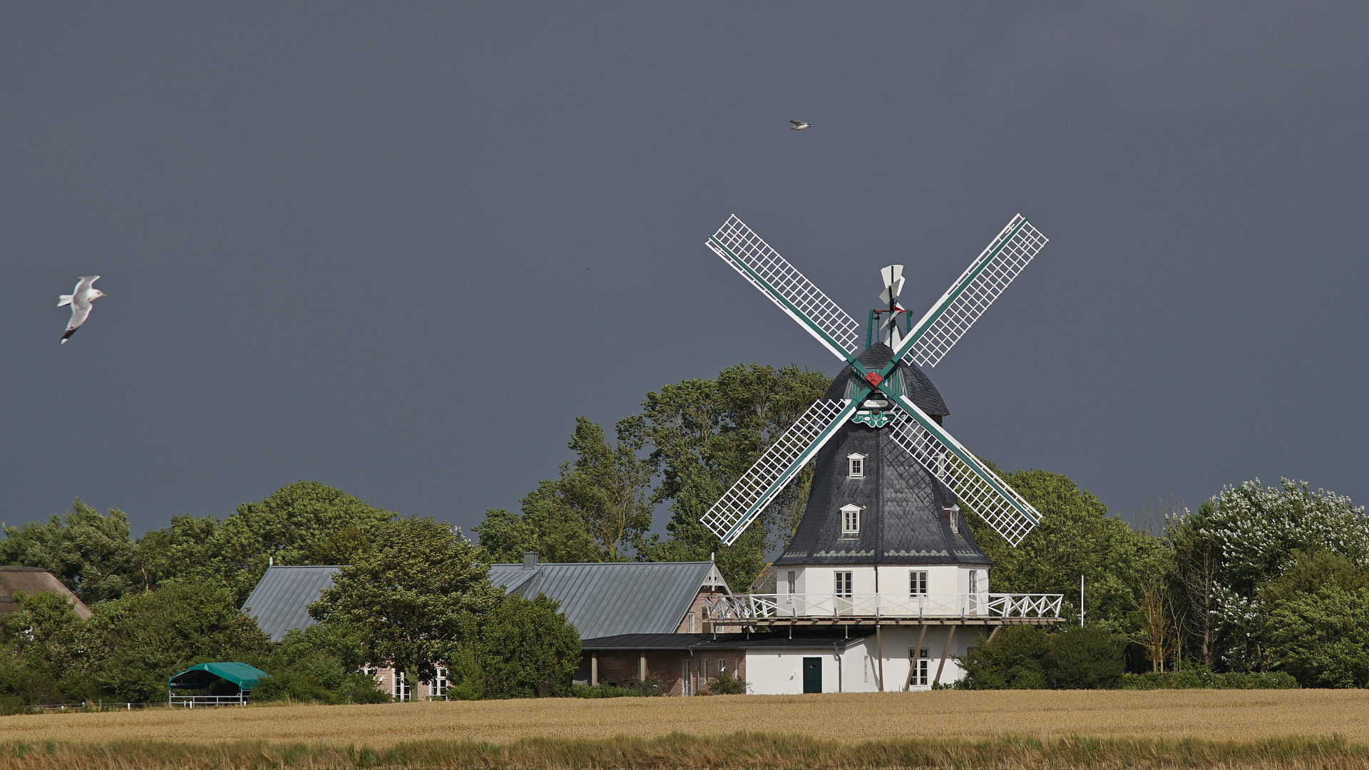 Windmühle auf Föhr