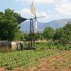 Windmühle auf Kreta