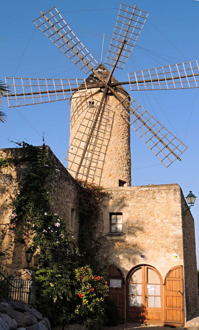 Windmühle auf Mallorca