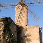 Windmühle auf Mallorca