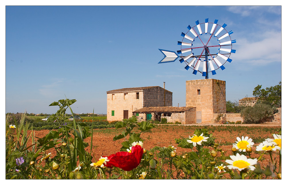 WIndmühle auf Mallorca