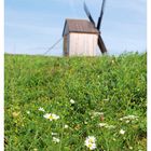 Windmühle auf Saaeremaa, Estland