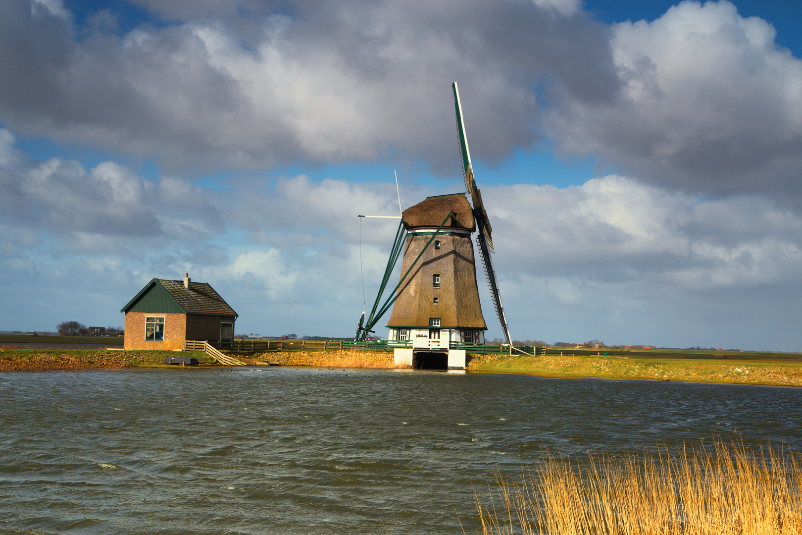 Windmühle auf Texel