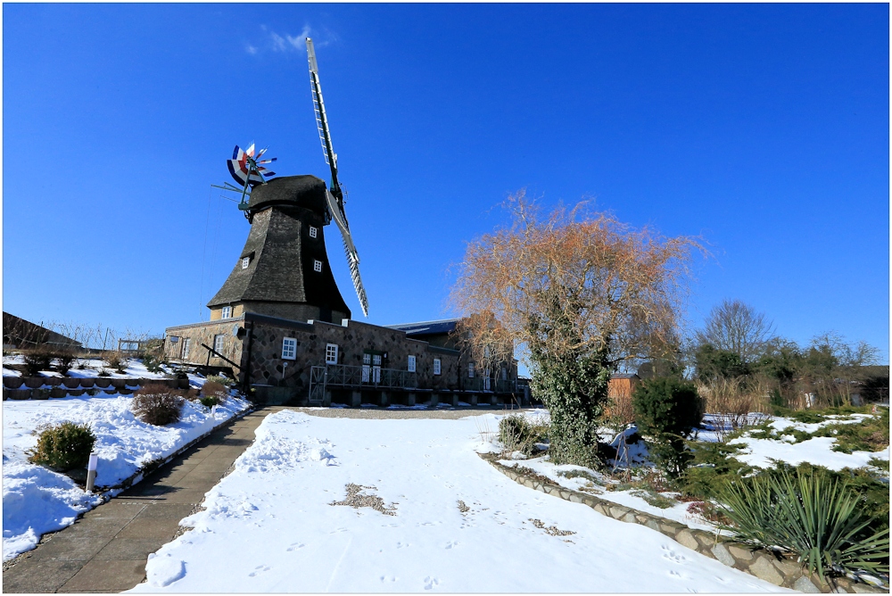 Windmühle „Auguste“ in Groß Wittensee