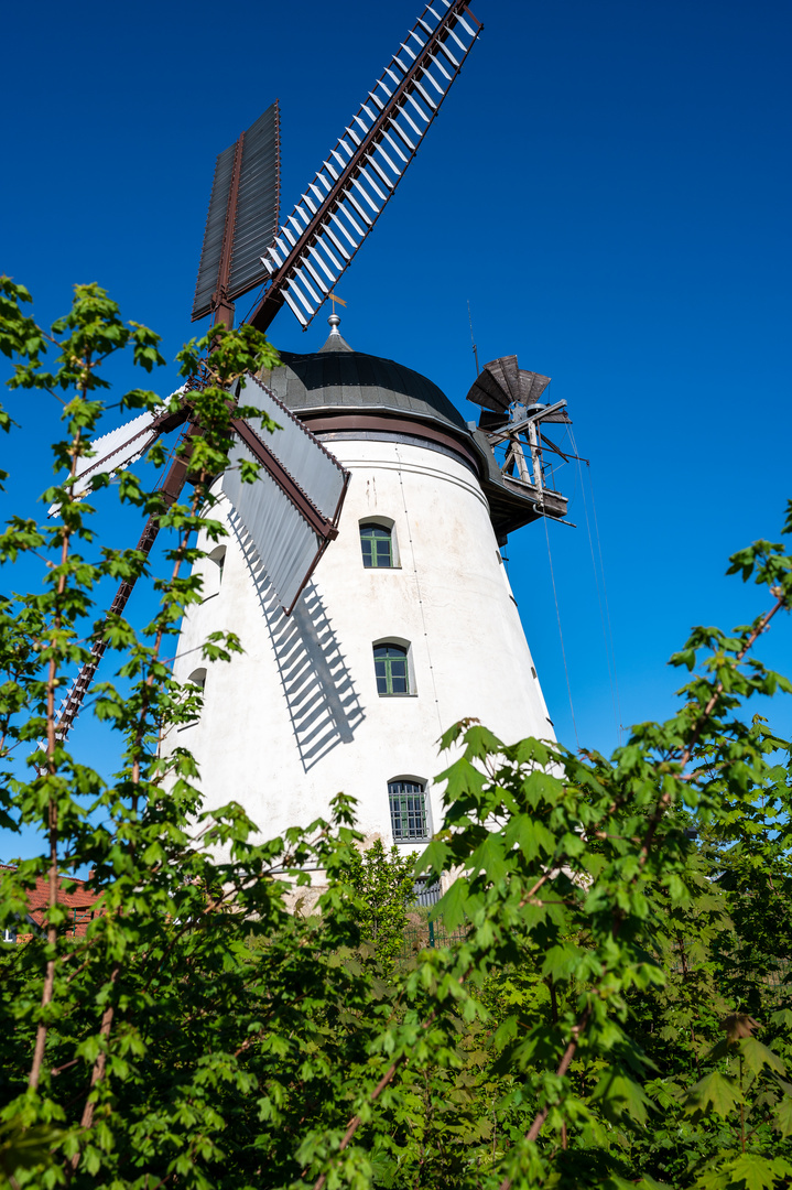 windmühle