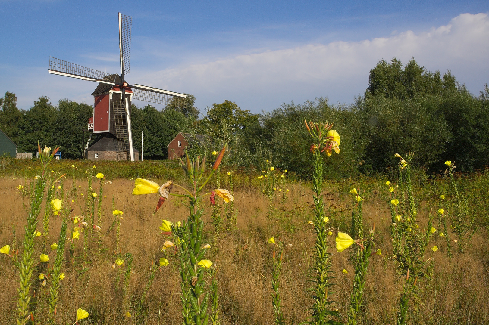 Windmühle