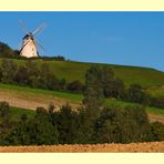 Windmühle Bavenhausen - Kalletal